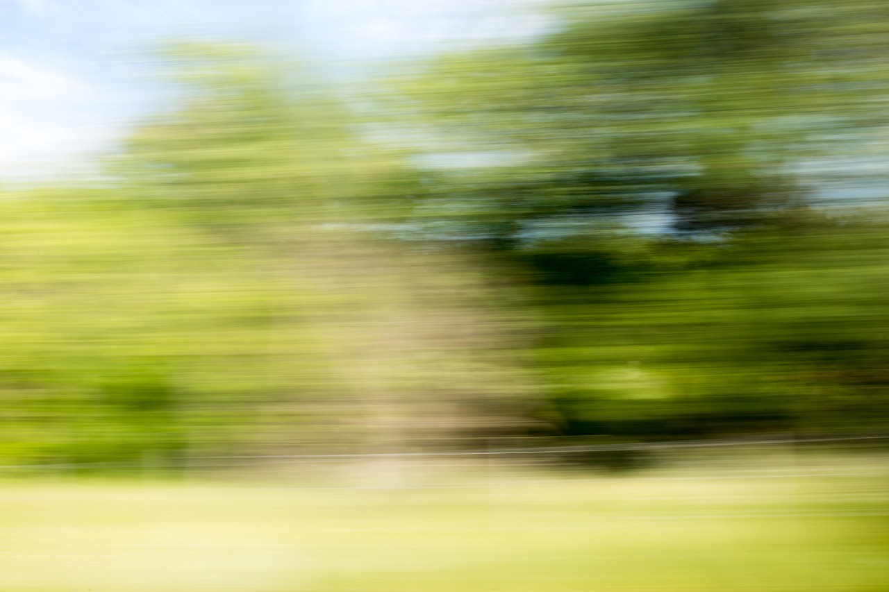Blurry view of trees passing by on the side of the road through the window of a moving vehicle